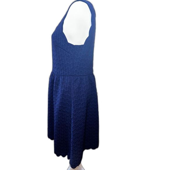 Maeve Anthropologie Navy Textured Sleeveless A-Line Dress L Scalloped Lace Back - Picture 3 of 9